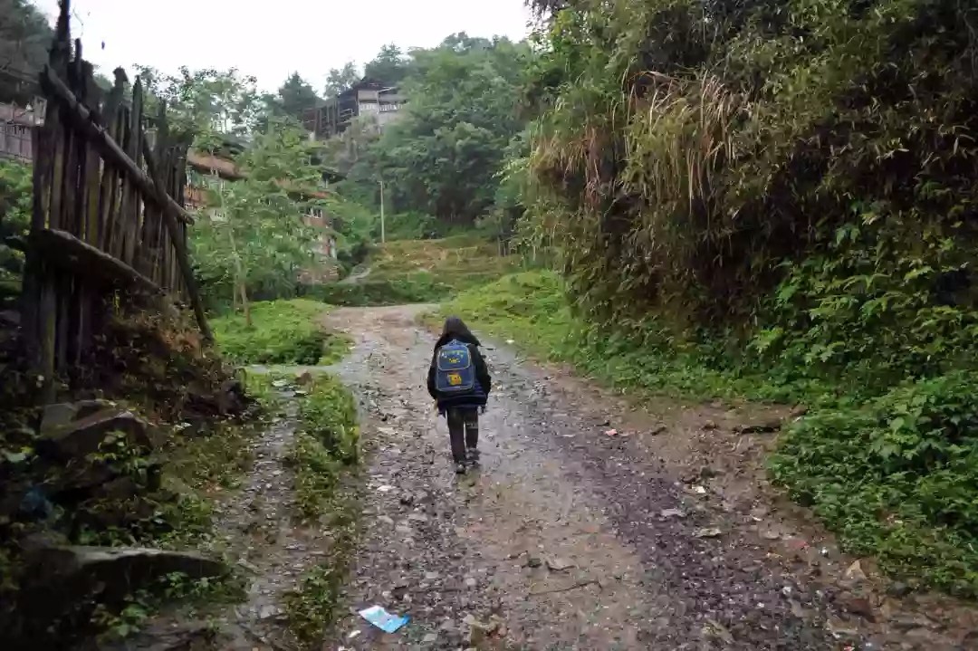 解析:兒童青少年心理健康行動的目標與難點 解析:兒童青少年心理健康行動的目標與難點
